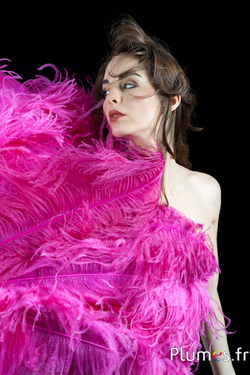 Ventaglio di piume di struzzo - ca. 60 cm, 10 piume, pelle nera - fucsia